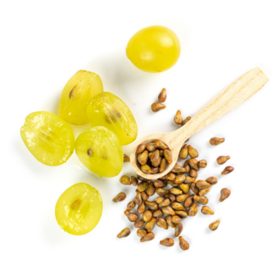 pépins de raisin