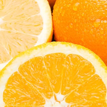 Bioflavonoïdes citriques