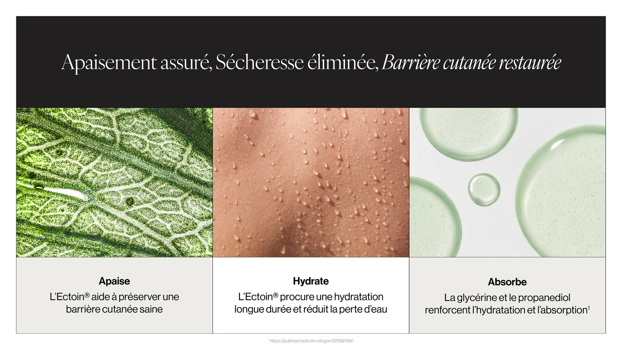 Bienfaits du spray visage activateur Co.Lab™ : apaise, hydrate et soutient la barrière cutanée