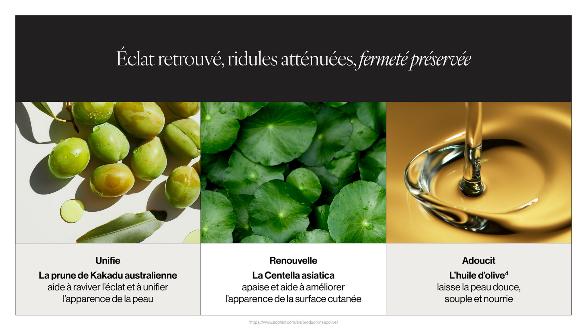 Bienfaits de la prune de Kakadu, de la Centella asiatica et de l’huile d’olive pour l’éclat, la fermeté et la douceur de la peau